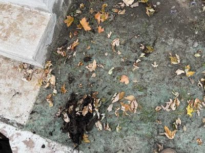 Root Removal Sewer Line Clearing