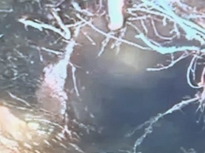 Sewer Line Camera Inspection